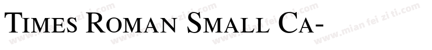 Times Roman Small Ca字体转换